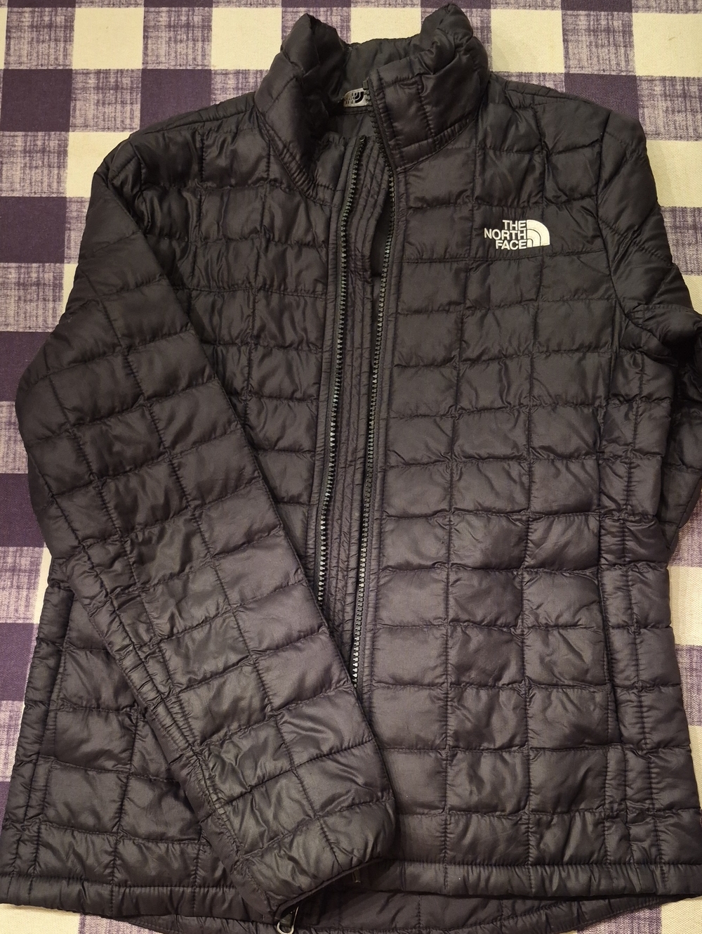 The North Face Women's Black Quilted Puffer Jacket